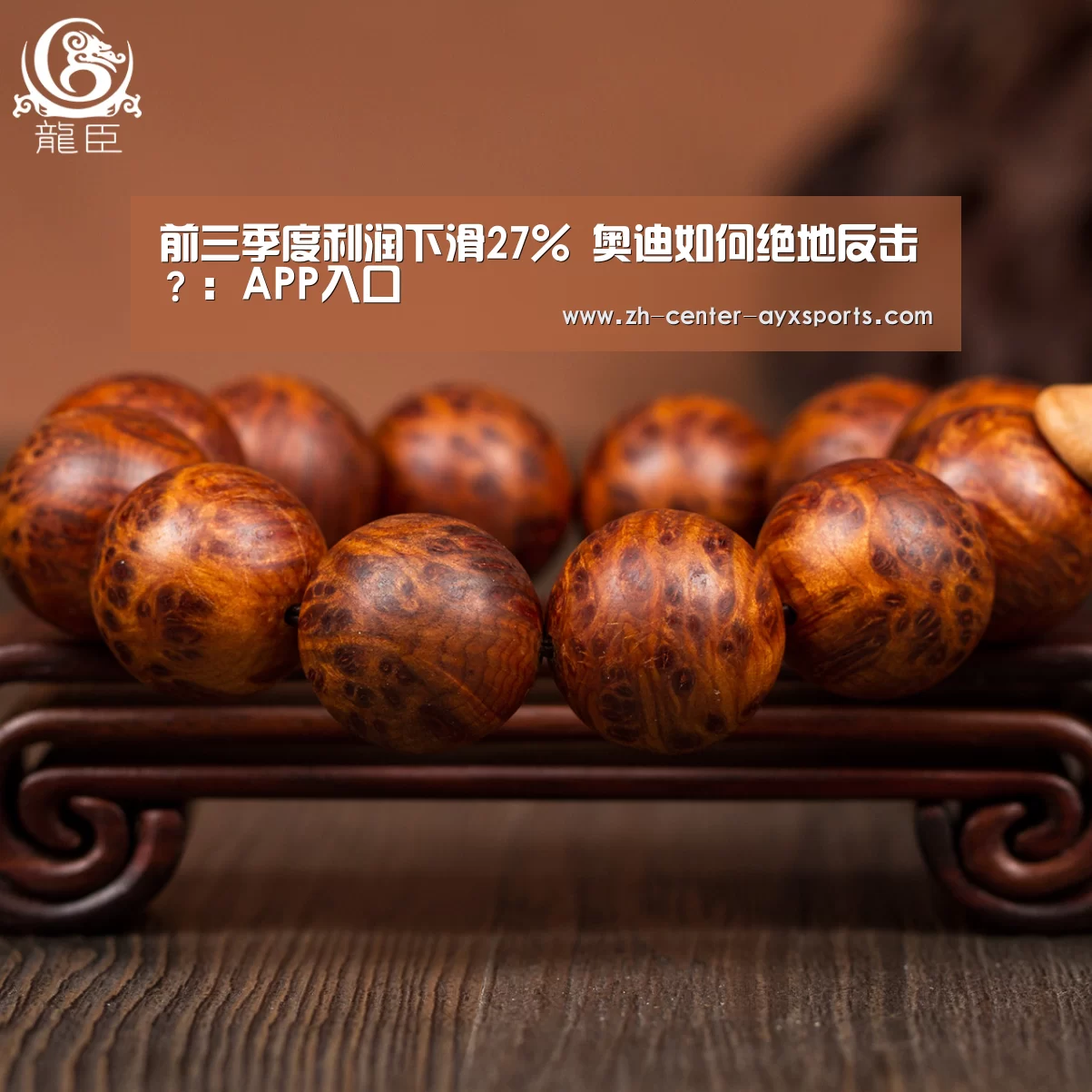 前三季度利润下滑27% 奥迪如何绝地反击?:APP入口(图2) 爱游戏下载