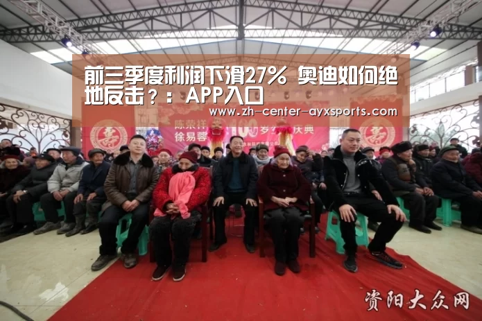 前三季度利润下滑27% 奥迪如何绝地反击?:APP入口(图1) APP入口